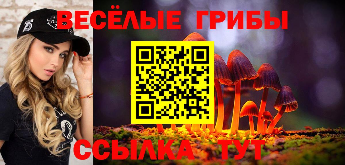 Ноябрьск  Псилоцибиновые грибы мицелий  Вход с VPN 