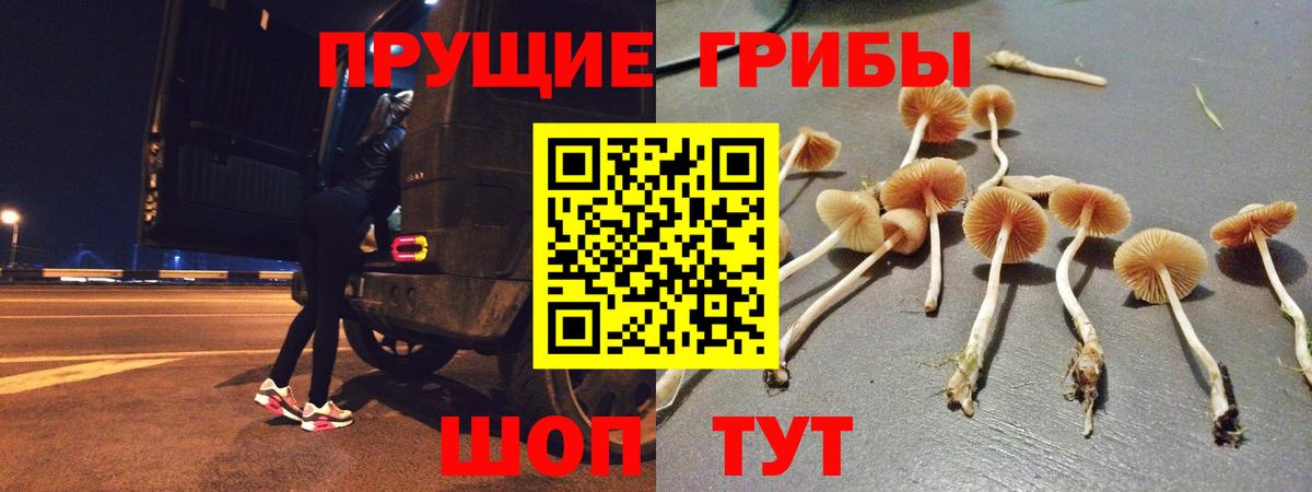 Псилоцибиновые грибы прущие грибы Ноябрьск